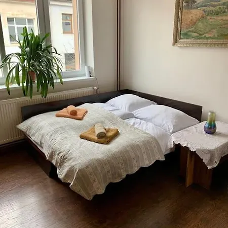 Pod Lampou Apartment Zdar Nad Sazavou